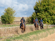 NH280922-72 - Blue Stello, Fable, & Farouk De Cheneau